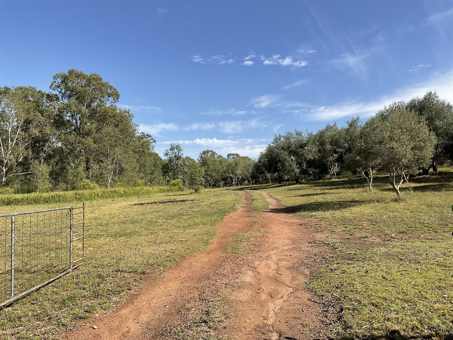 Blackbutt QLD 4314 House for Sale 545,000 Domain