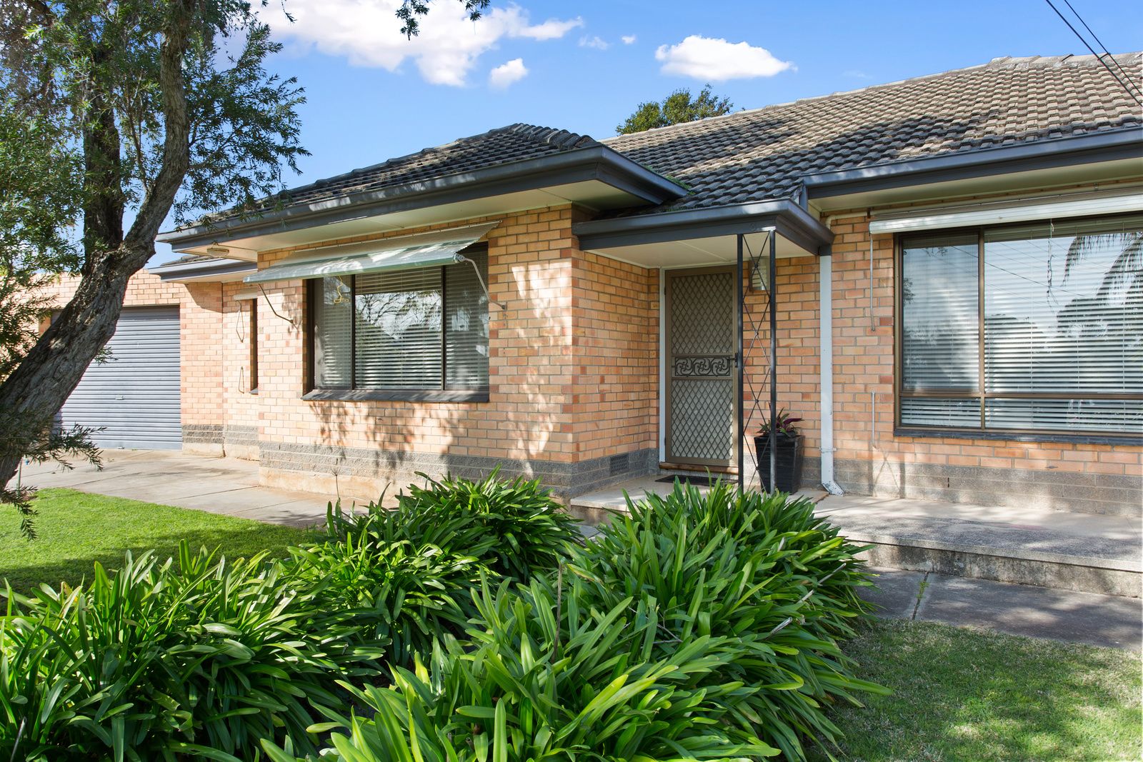 3 Howard Court, Payneham South SA 5070, Image 2