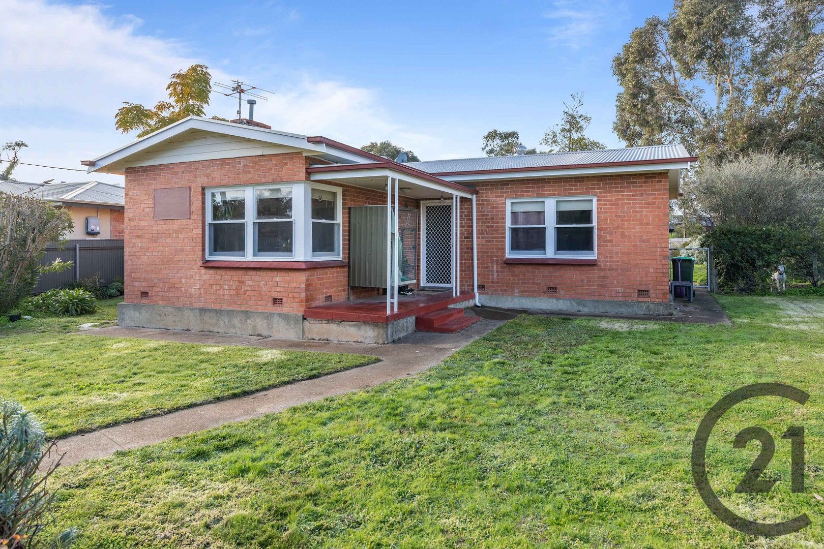 19 Clark Terrace, Angaston SA 5353, Image 0