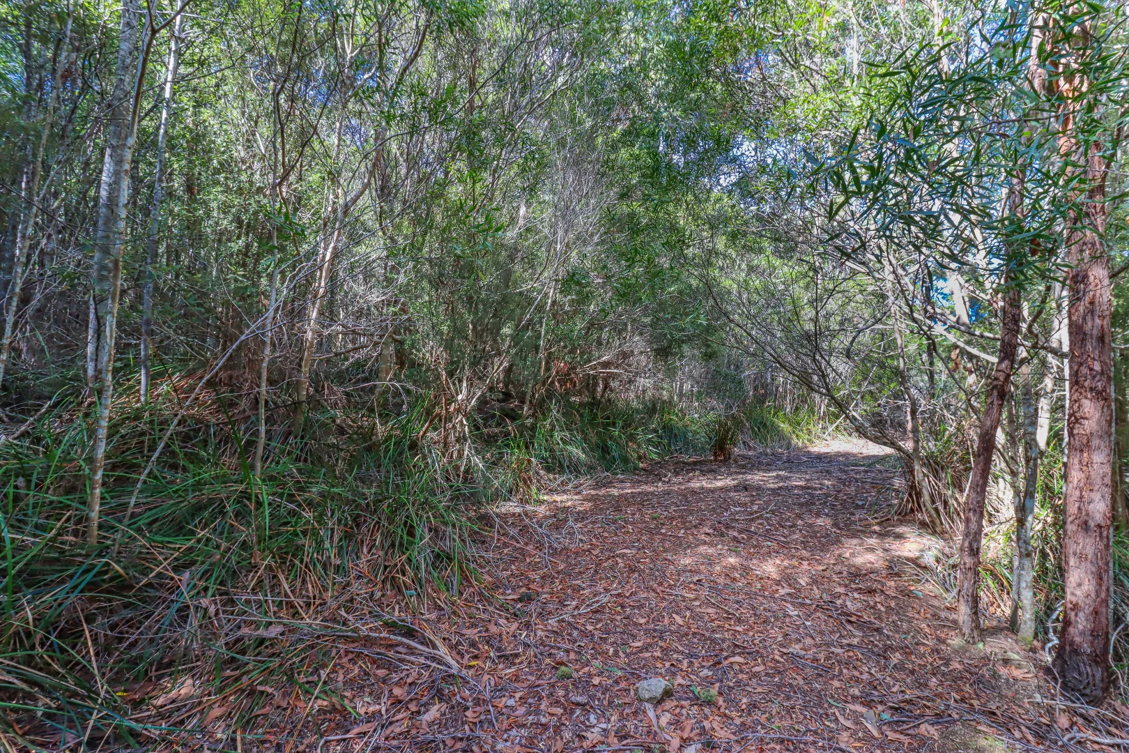 Additional image 26 of 1 Link Road, Lonnavale TAS 7109