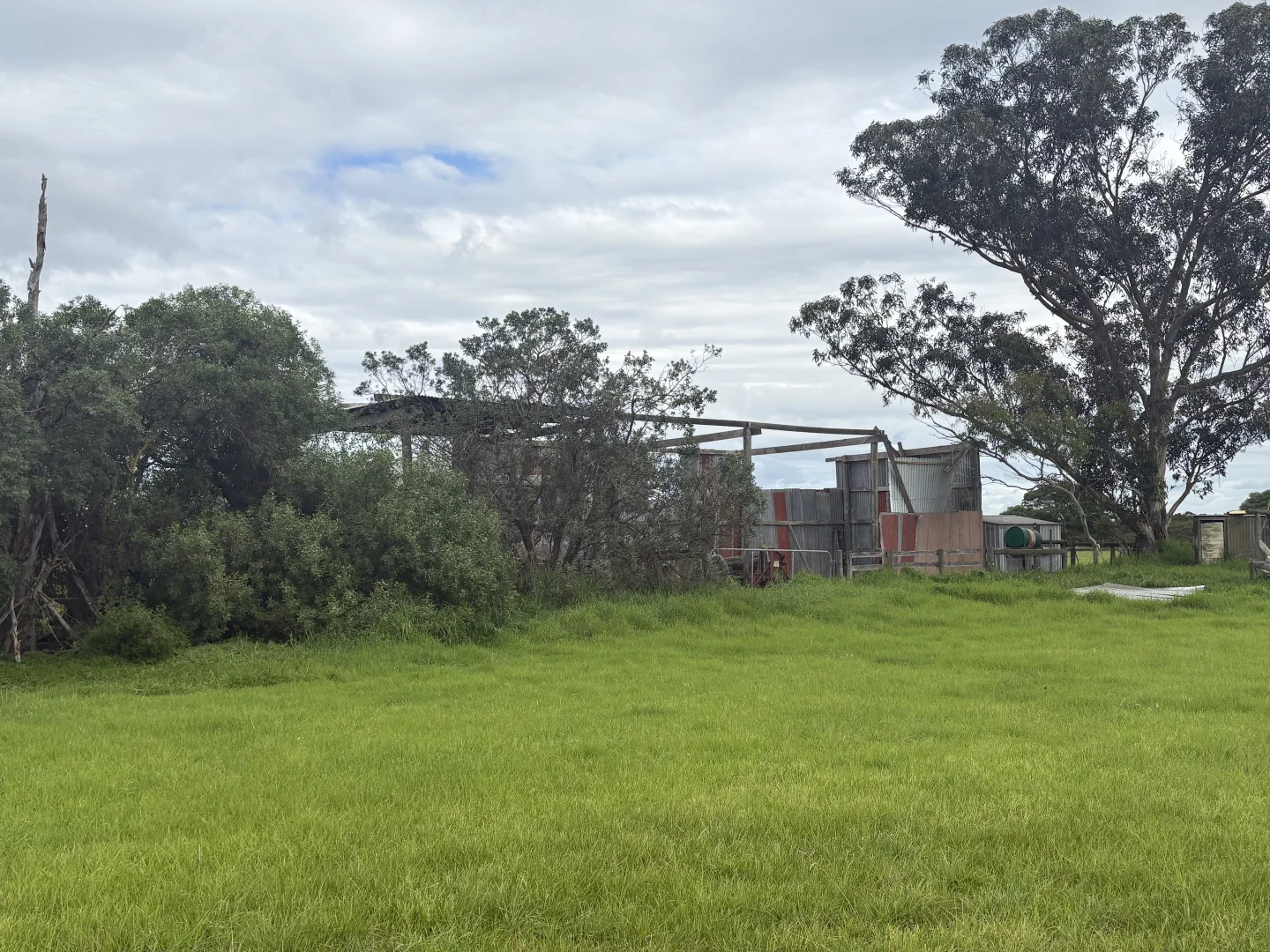 Image 11