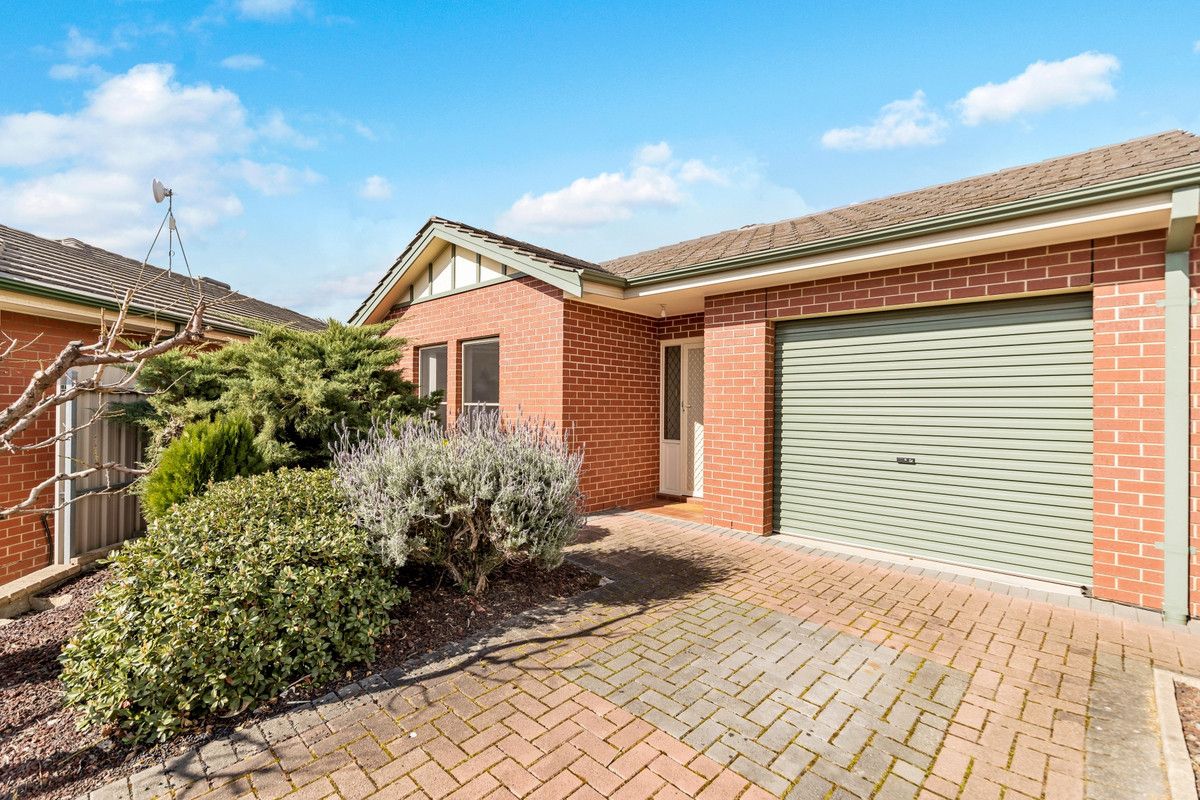 16A Goodwin Street, Newton SA 5074, Image 0