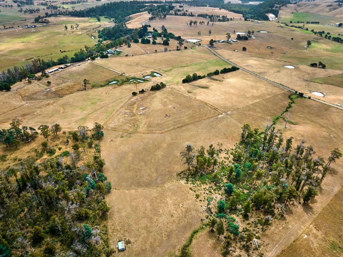 Image 20