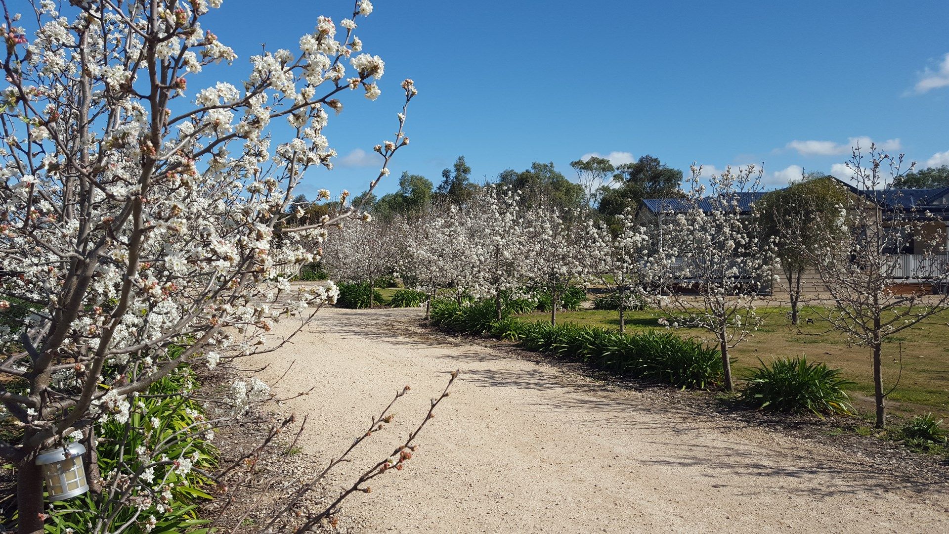 190 Angas Plains Road, Strathalbyn SA 5255, Image 0