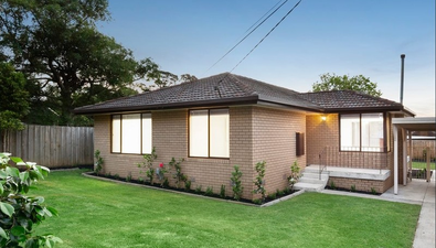 Picture of 10 Lucia Street, BLACKBURN SOUTH VIC 3130