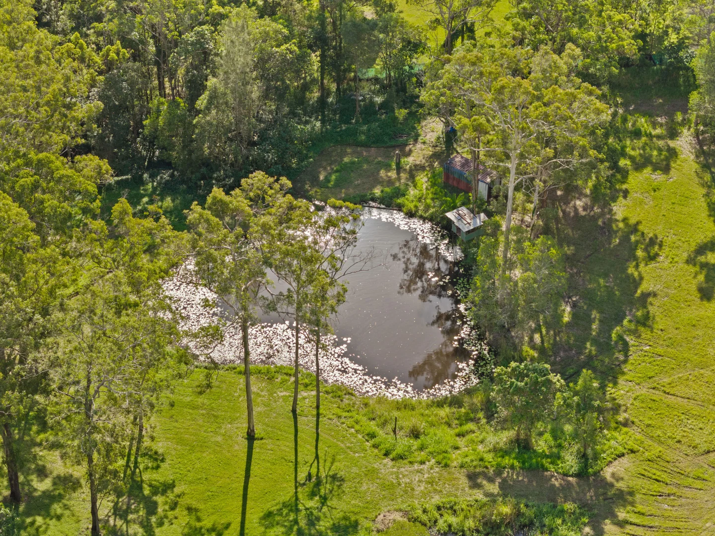 Image 31