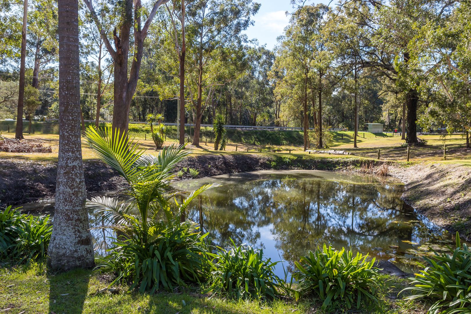 17 Brandy Hill Drive, Brandy Hill NSW 2324 House for Sale Domain