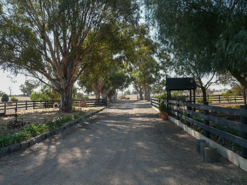 201 Goorambat-Chesney Road, Goorambat VIC 3725, Image 0