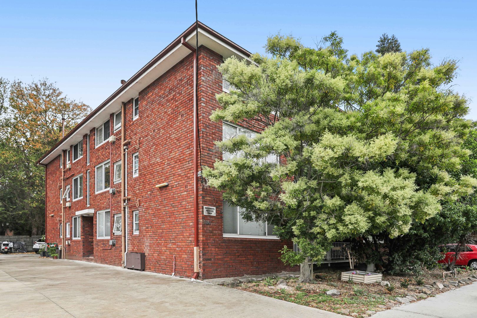 11/185 Frederick Street, Ashfield NSW 2131