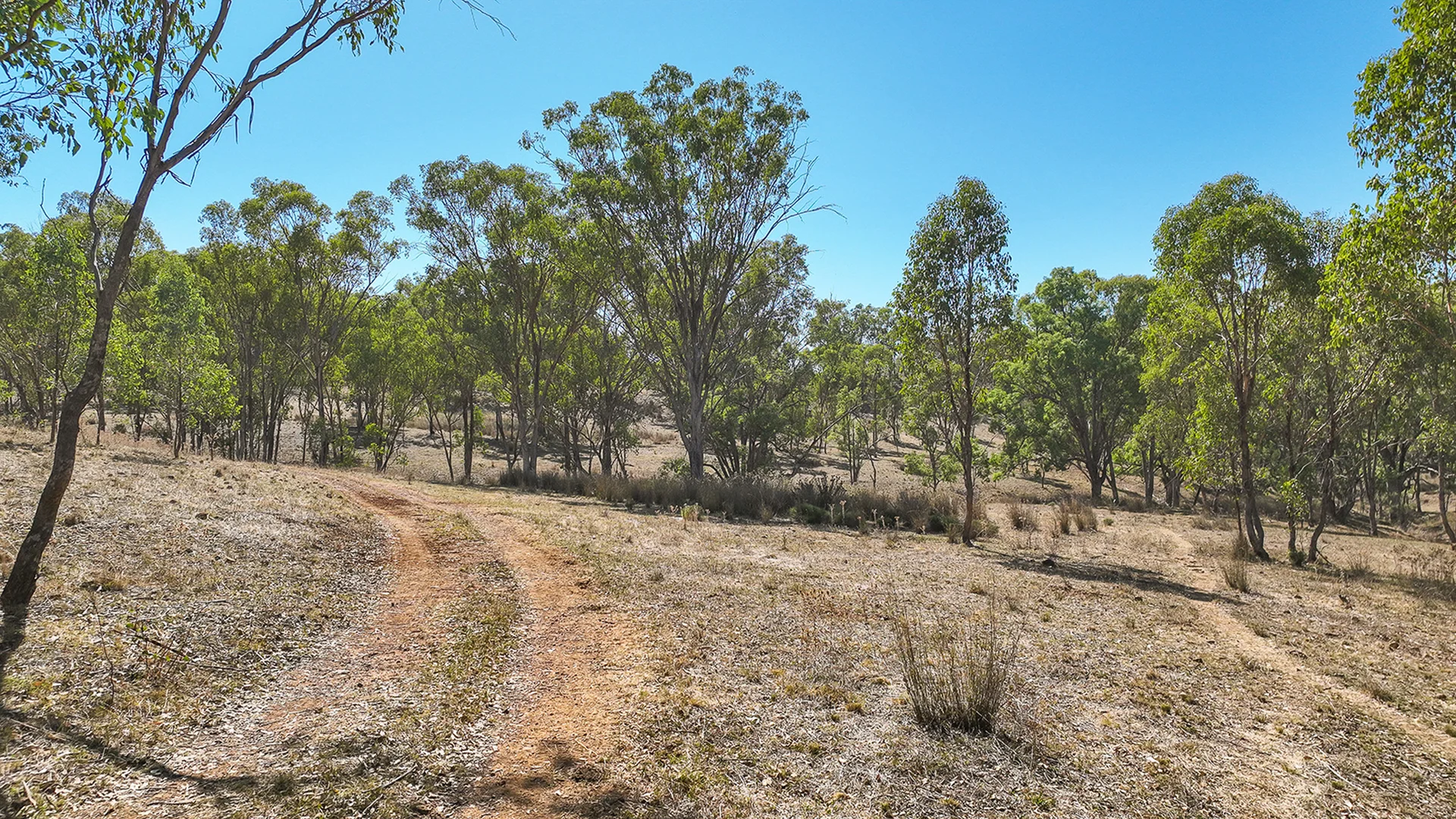 Additional image 29 of 6702A MANILLA ROAD, Red Hill NSW 2347