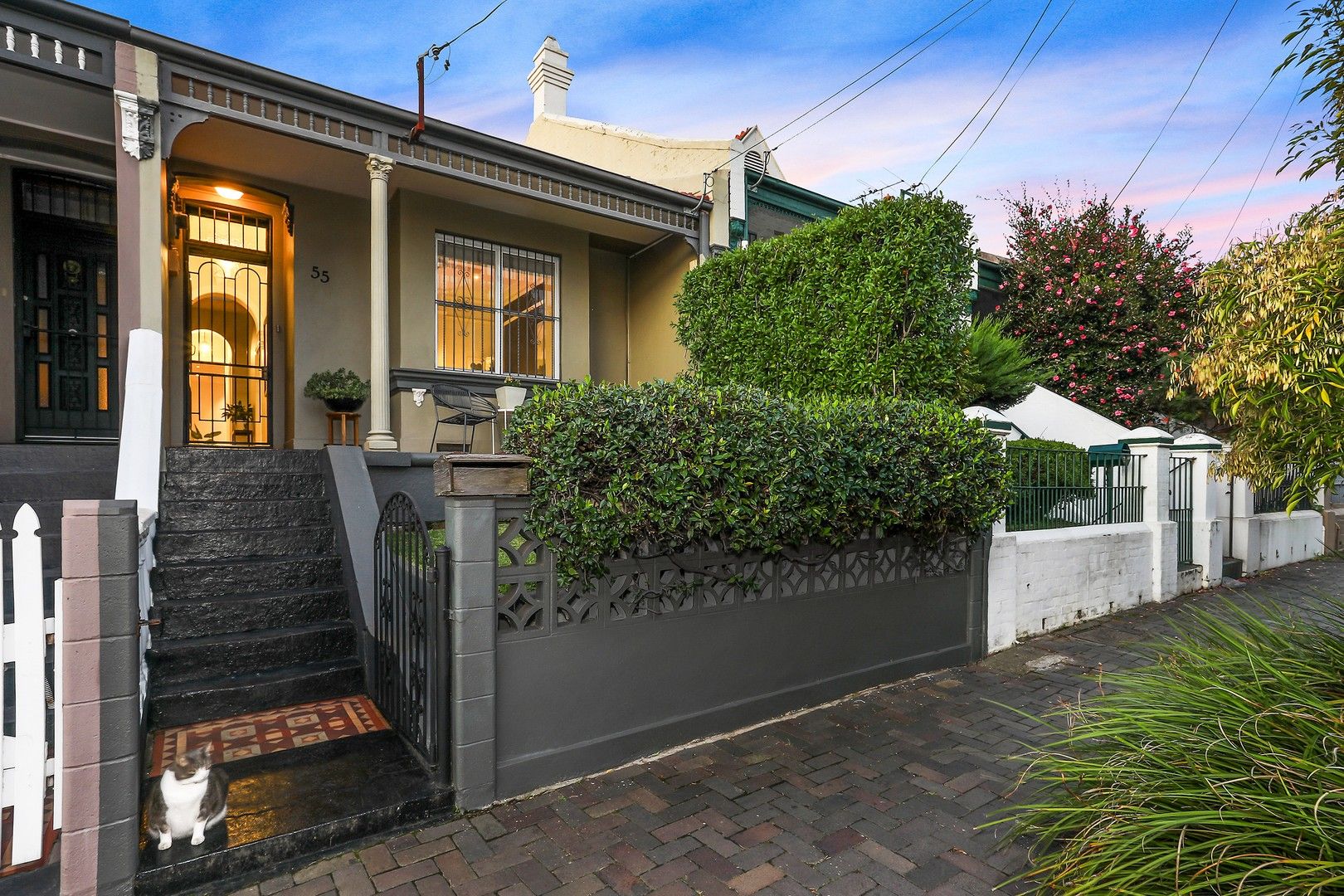 55 Llewellyn Street, Marrickville NSW 2204, Image 0