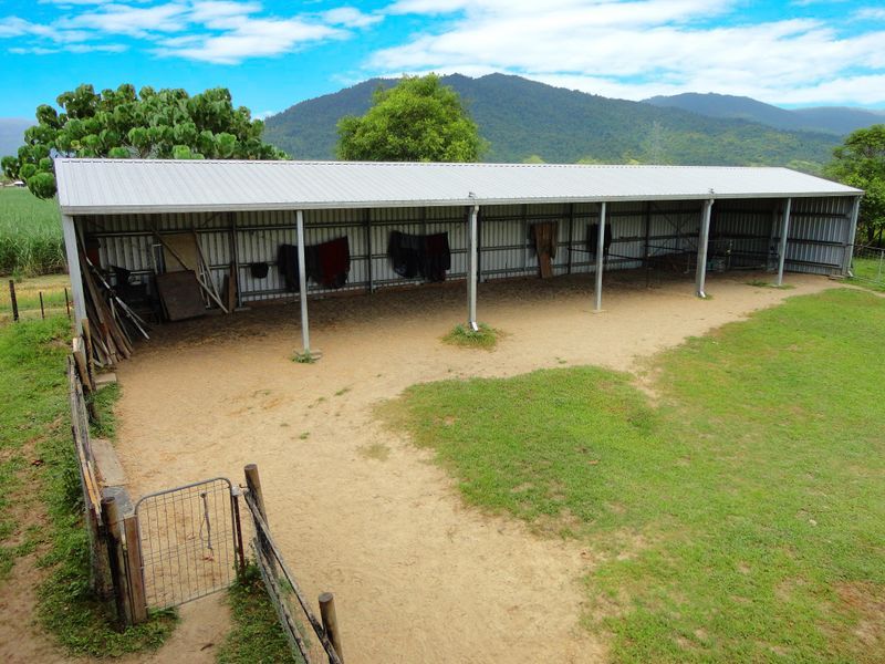 2161 Clyde Road, Babinda QLD 4861, Image 2