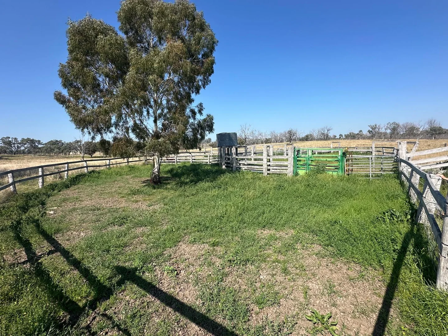 Image 14