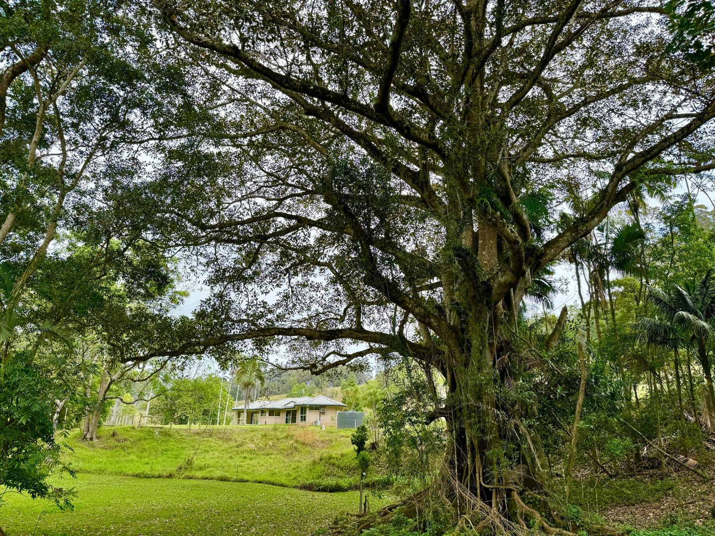 Upper Burringbar NSW 2483 4 beds house for Rent, 845 per week