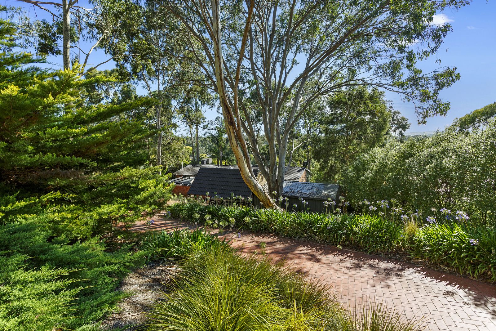 7 Rokewood Avenue, Belair SA 5052, Image 0