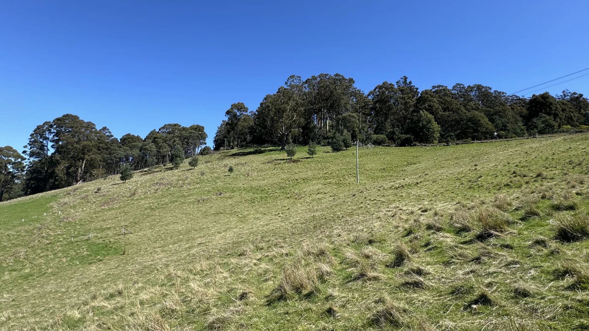 Image 28