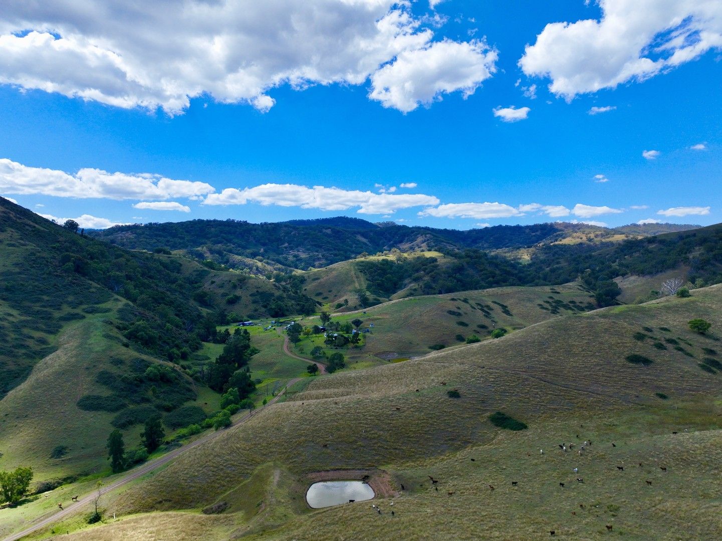 "Cooleen North" Bushs Creek Road Timor Via, Murrurundi NSW 2338, Image 0