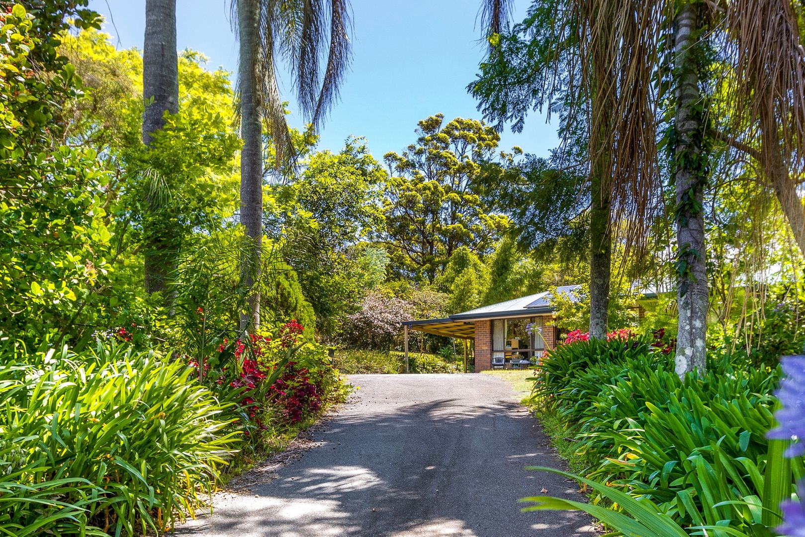 16 Sequoia Drive Tamborine Mountain Qld 4272 Domain