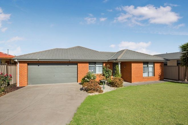 Picture of 19 Wills Terrace, BURNSIDE HEIGHTS VIC 3023