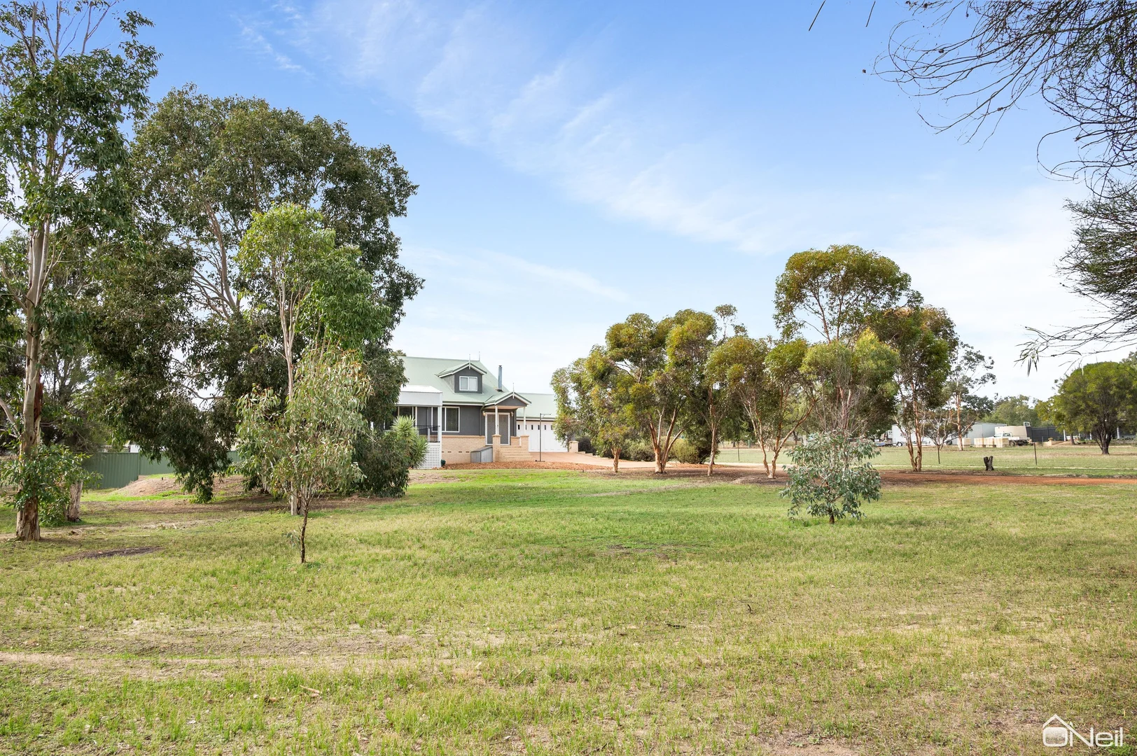 Image 11