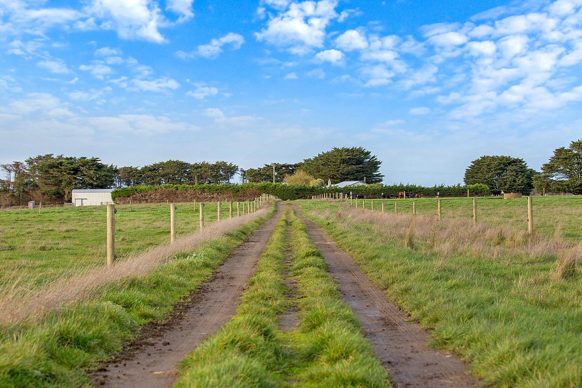 420 Cobden-South Ecklin Road, Elingamite North VIC 3266, Image 1