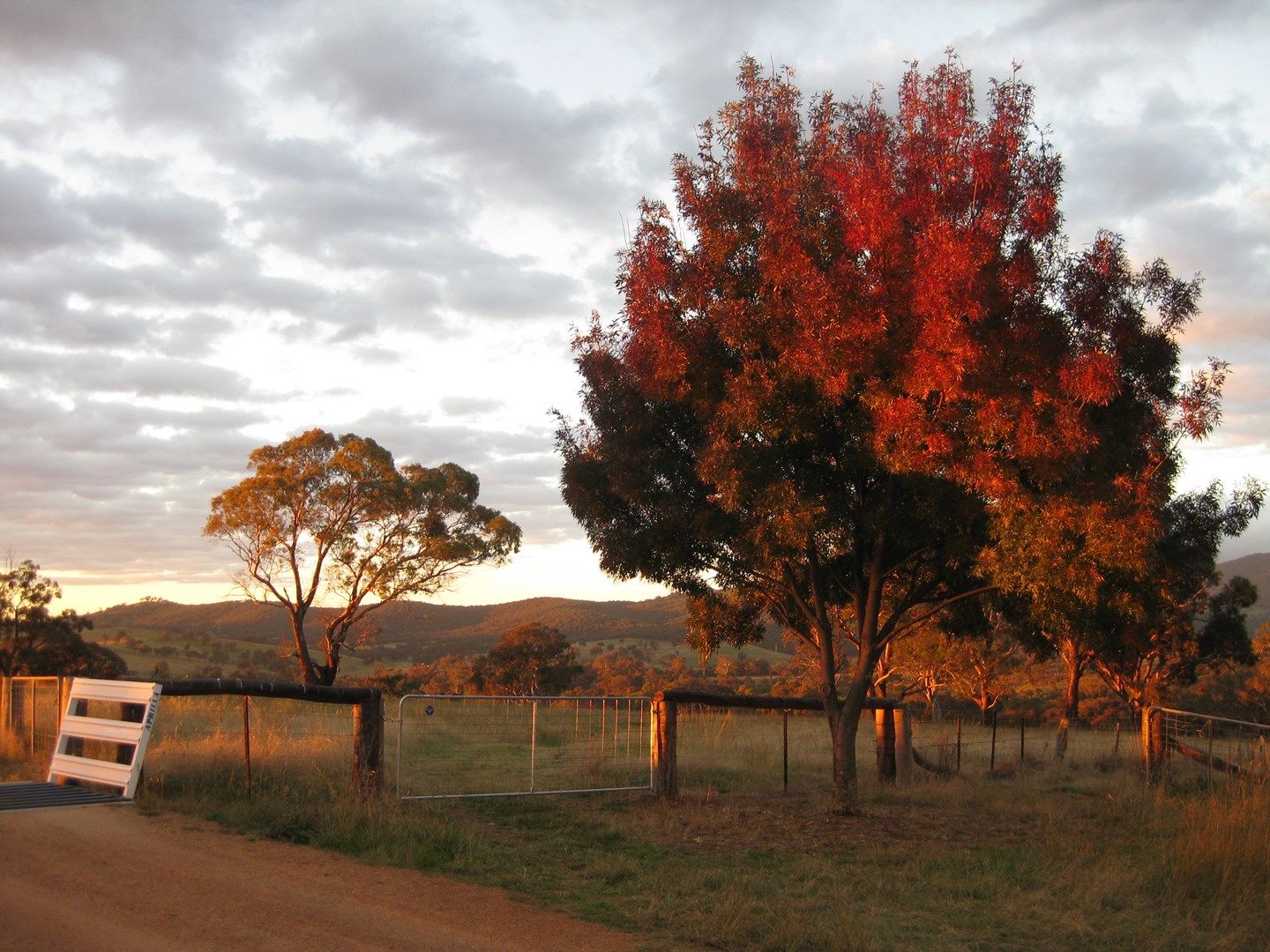 Bathurst NSW 2795, Image 0