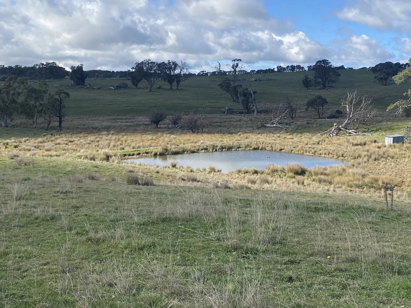 Image 15