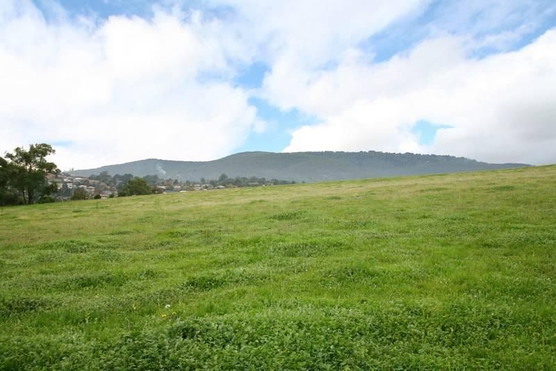Lot 118 29 View Grand Rise, LYSTERFIELD VIC 3156, Image 2