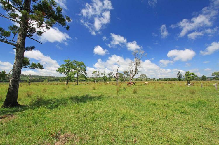 424 Bangalow Road, LAGOON GRASS NSW 2480, Image 2