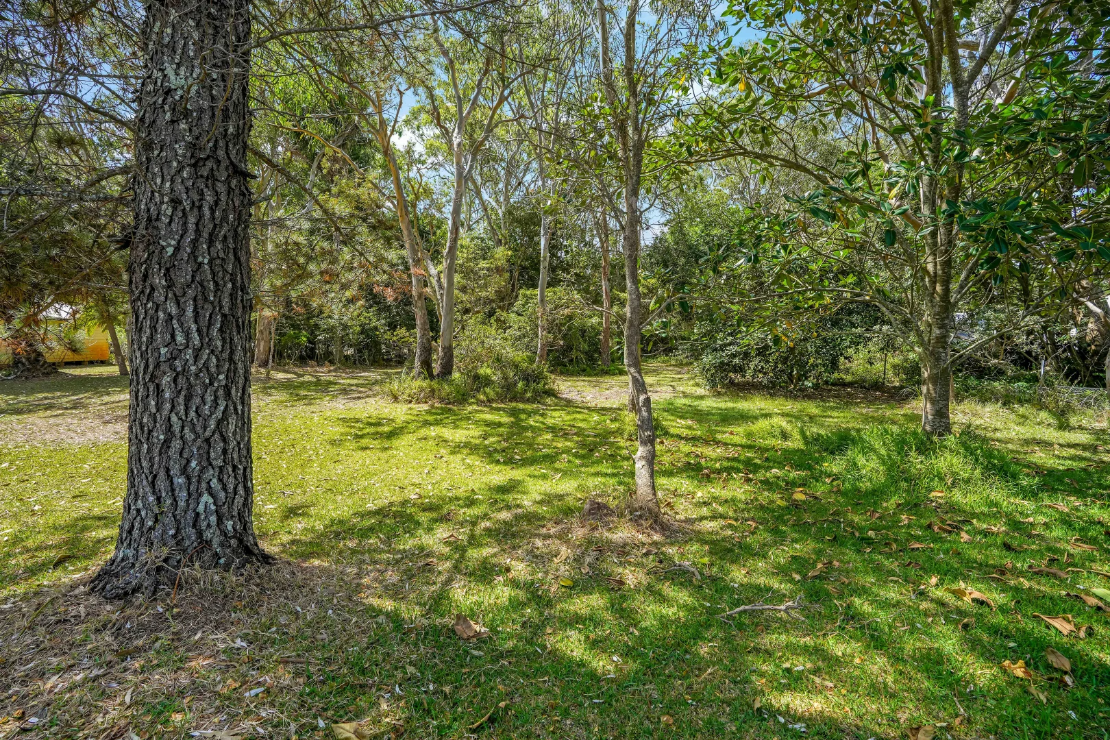 Additional image 6 of 20 Cambage Street, Pindimar NSW 2324