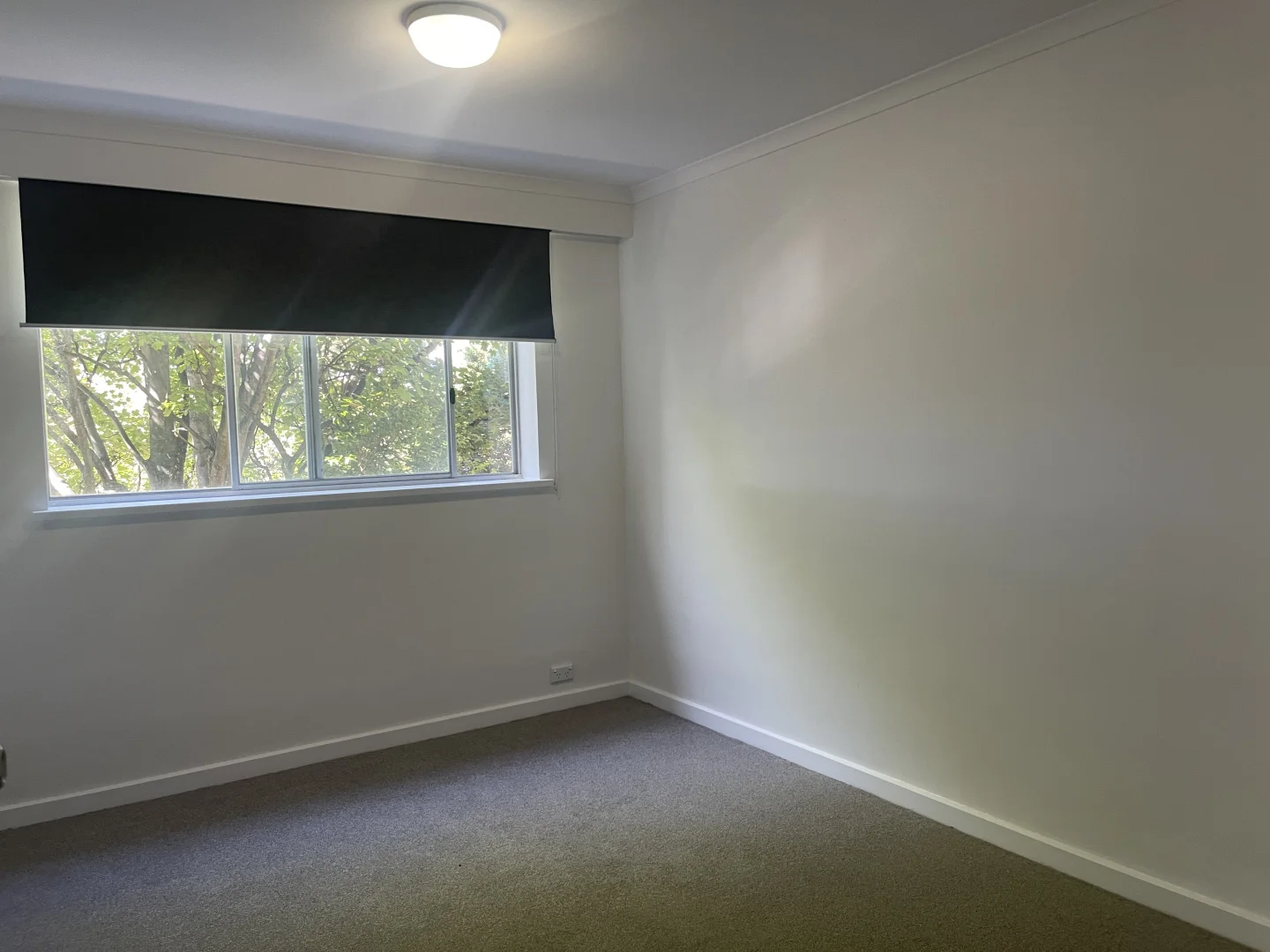 Additional image 8 of 7/8 Romilly Street, South Hobart TAS 7004