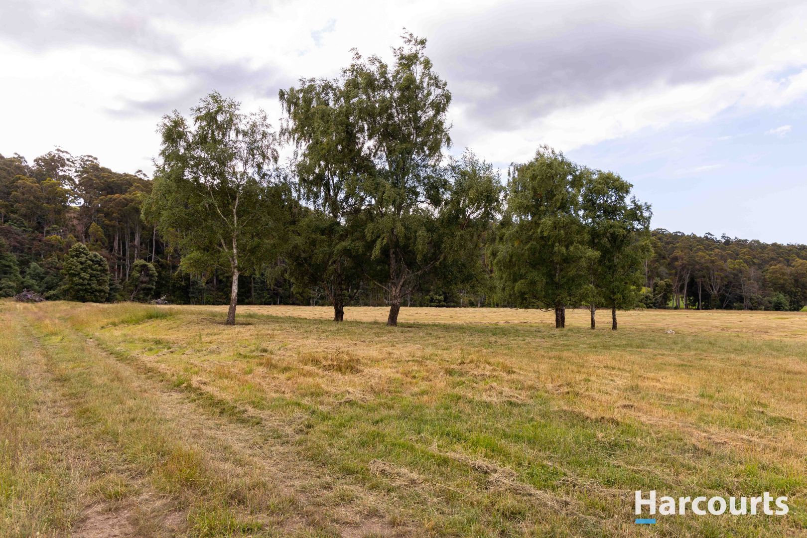 3257 Sheffield Road, Railton TAS 7305, Image 2