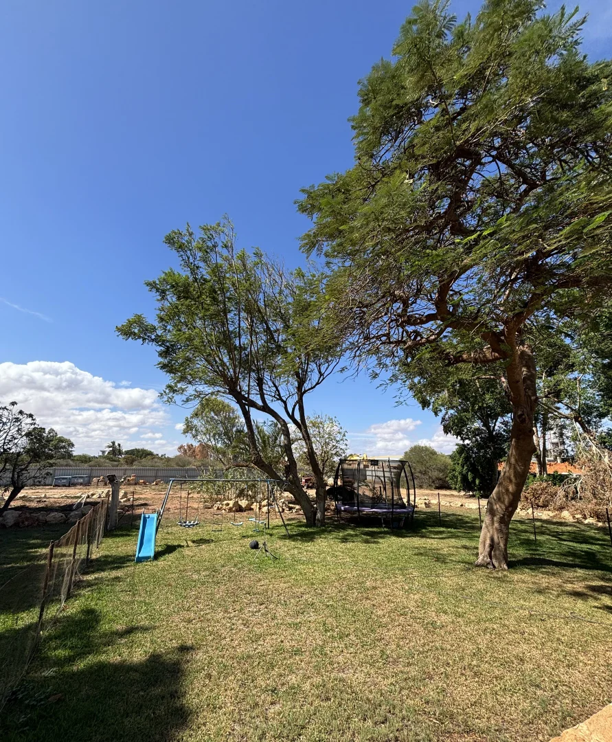 Image 25
