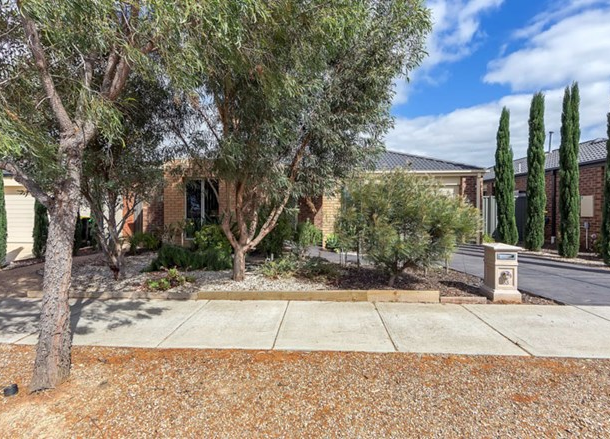 53 Lakewood Boulevard, Melton VIC 3337