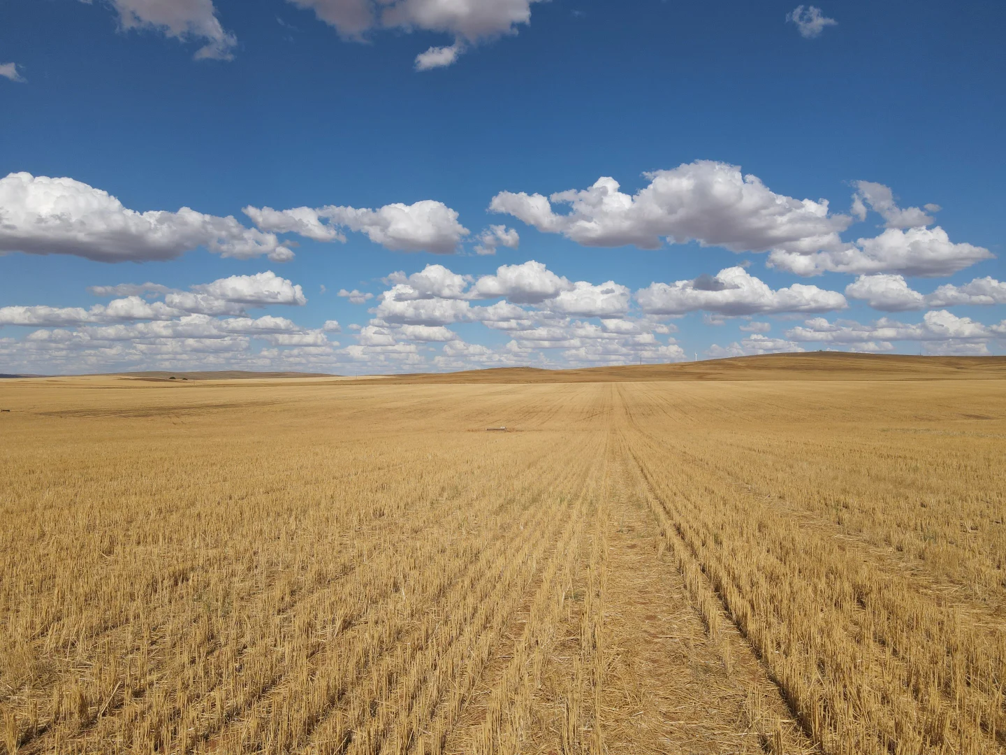 Additional image 5 of 4087 Booborowie Rd, Hallett SA 5419