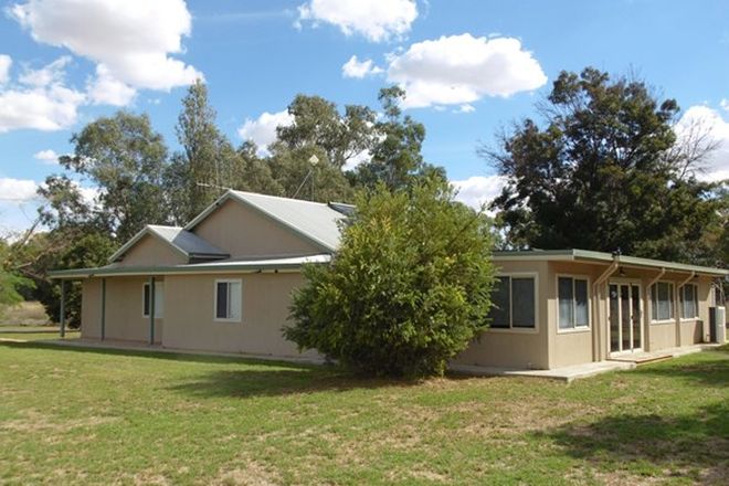 Picture of 2271 Newell Highway, TICHBORNE NSW 2870