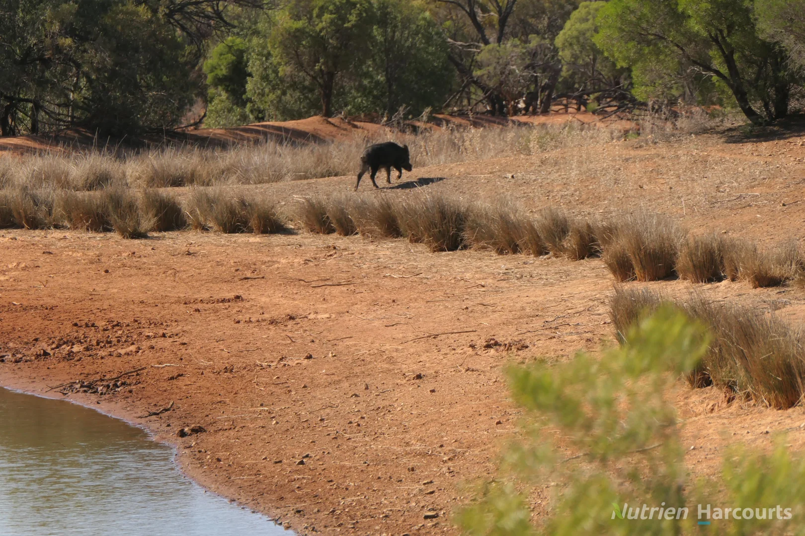 Additional image 18 of 27 Singleton Drive, Cobar NSW 2835