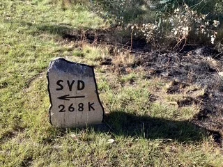 Image 14