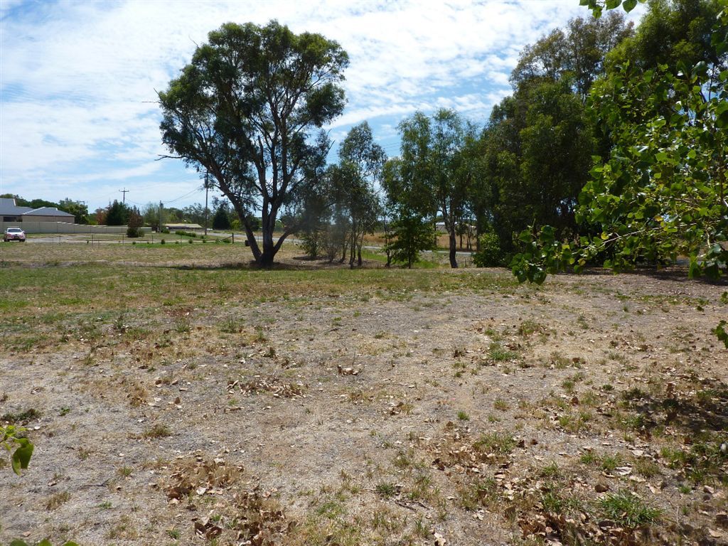 Lot 3 Crn Bruce Street & Wallace Street, Holbrook NSW 2644, Image 0
