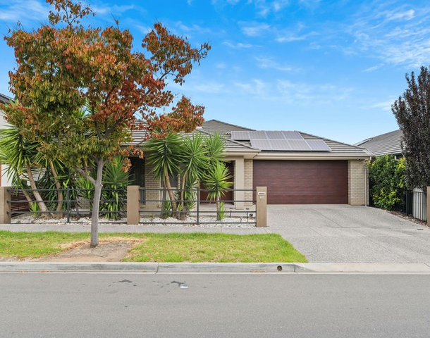 61 Rapid Avenue, Lightsview SA 5085