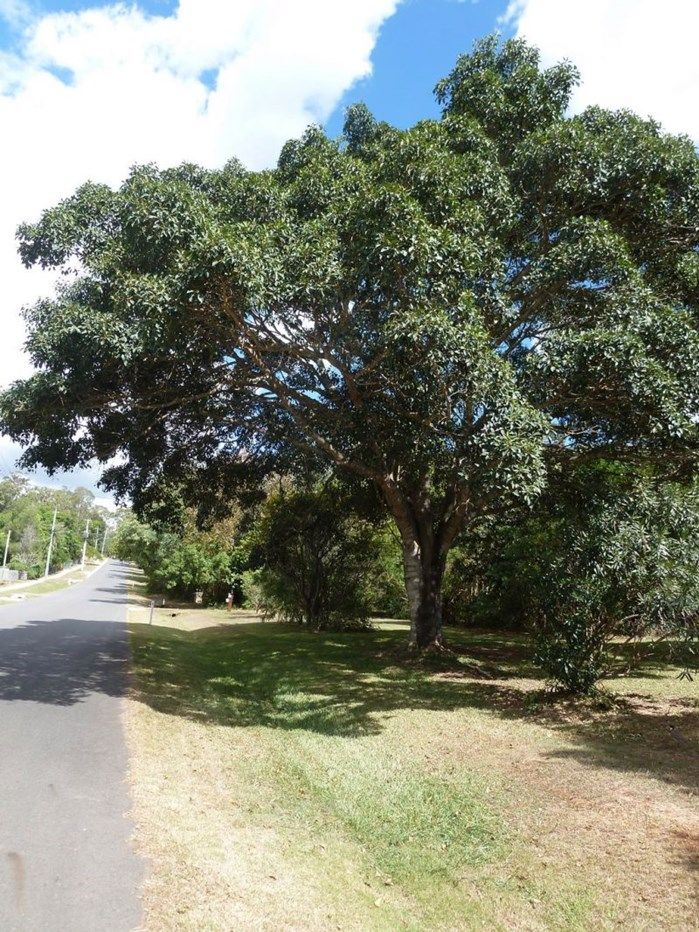 35 Sewell Road, Tanah Merah QLD 4128, Image 1