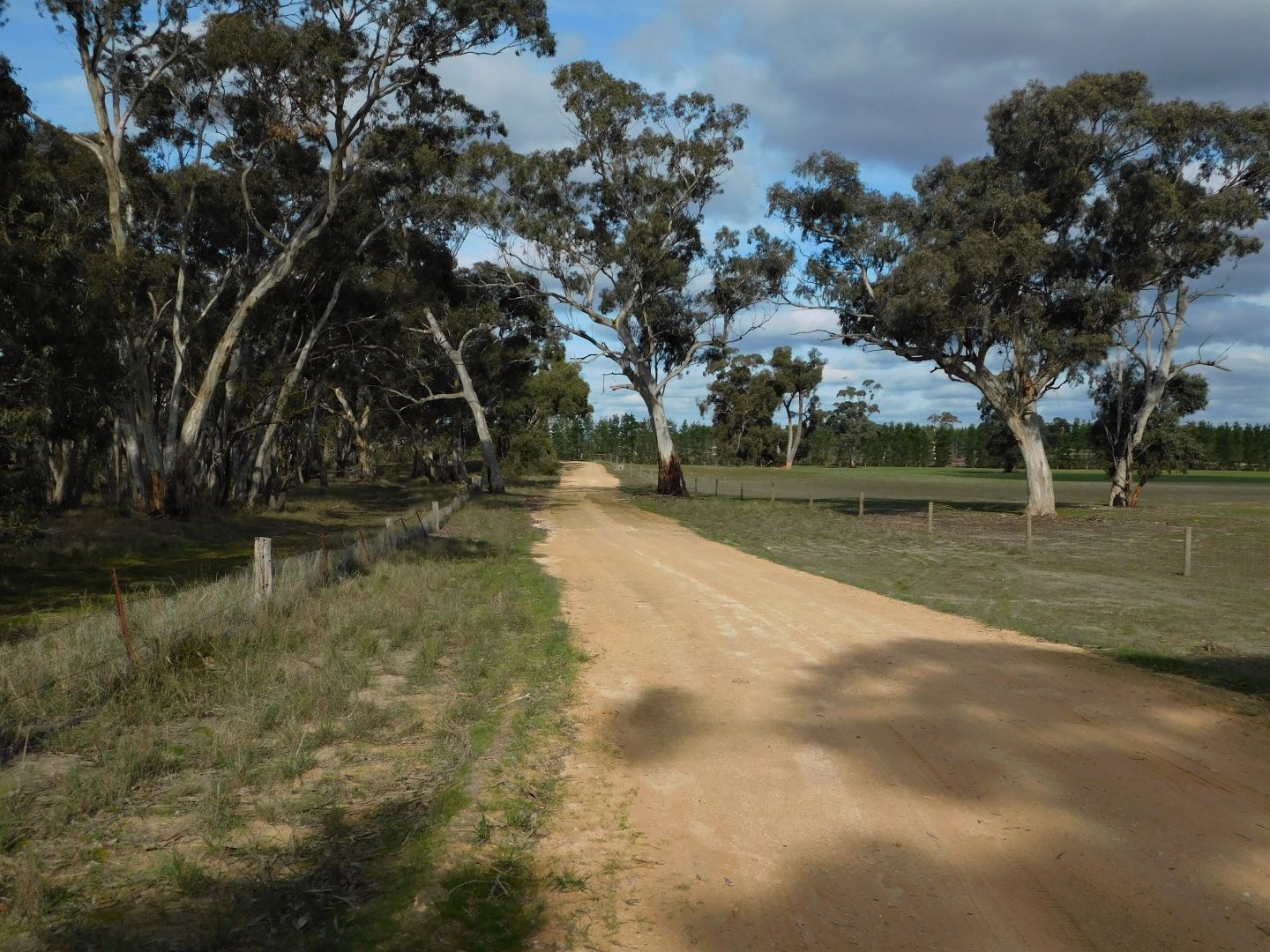 Lot 8 Bangham Road, Bangham SA 5268, Image 1