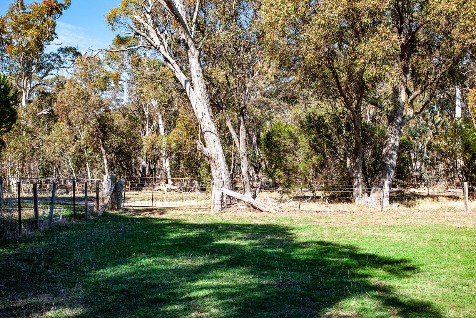 Davis Lane, Grabben Gullen NSW 2583, Image 0