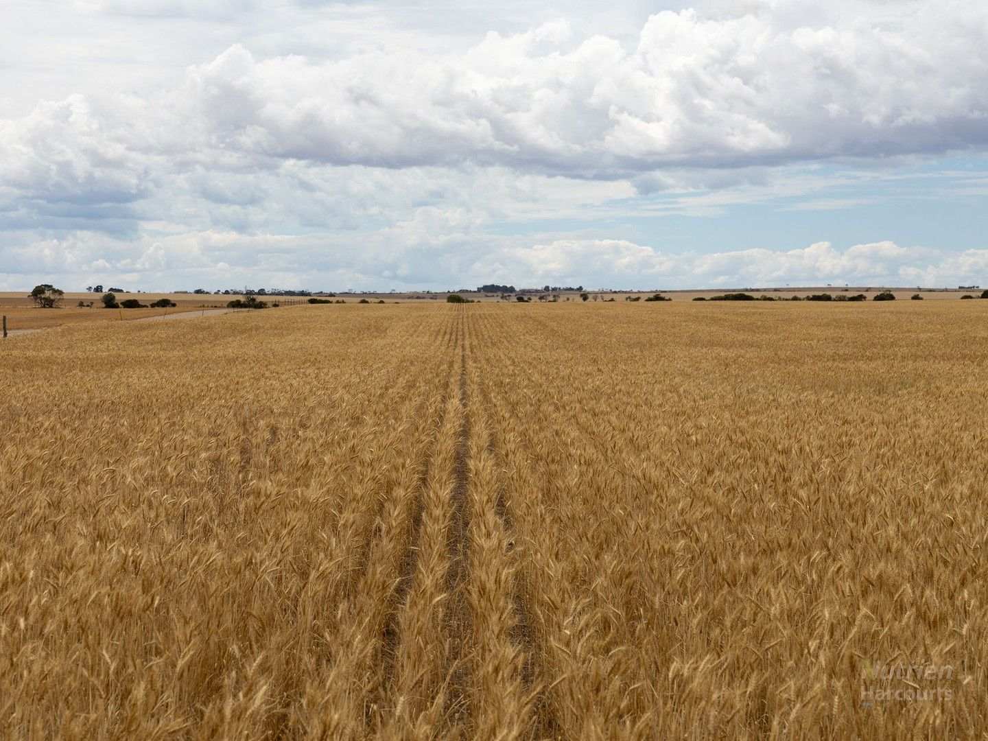 Specialist Farm in Lot 2 Kinnane Road, PORT VICTORIA SA, 5573