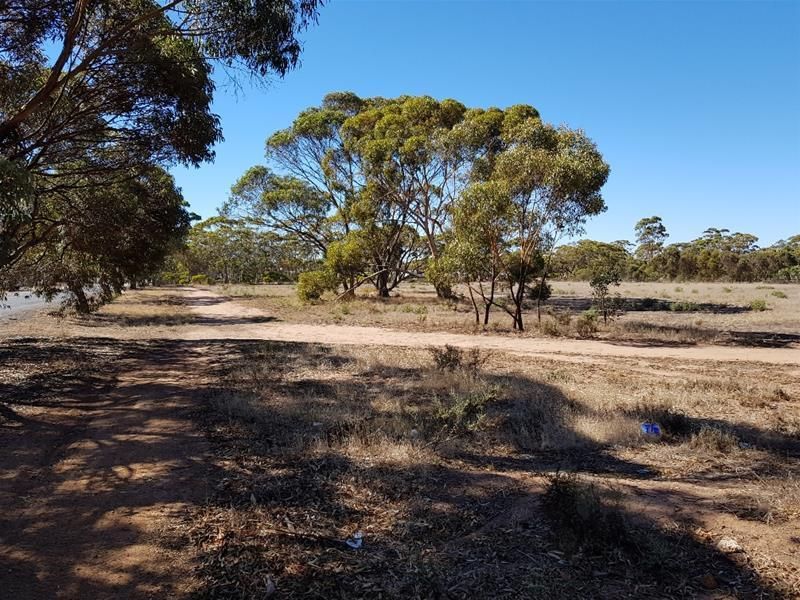 L50 Kintore Street, Moora WA 6510 Vacant Land for Sale Domain
