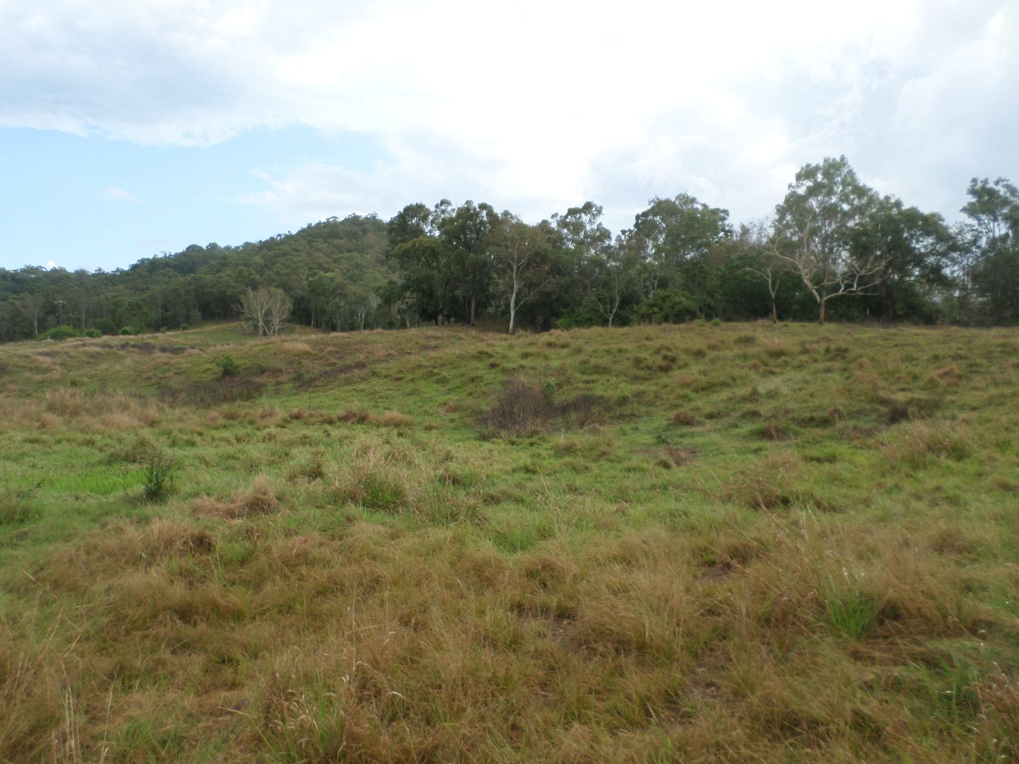 Yakapari-Habana Road, Habana QLD 4740, Image 2