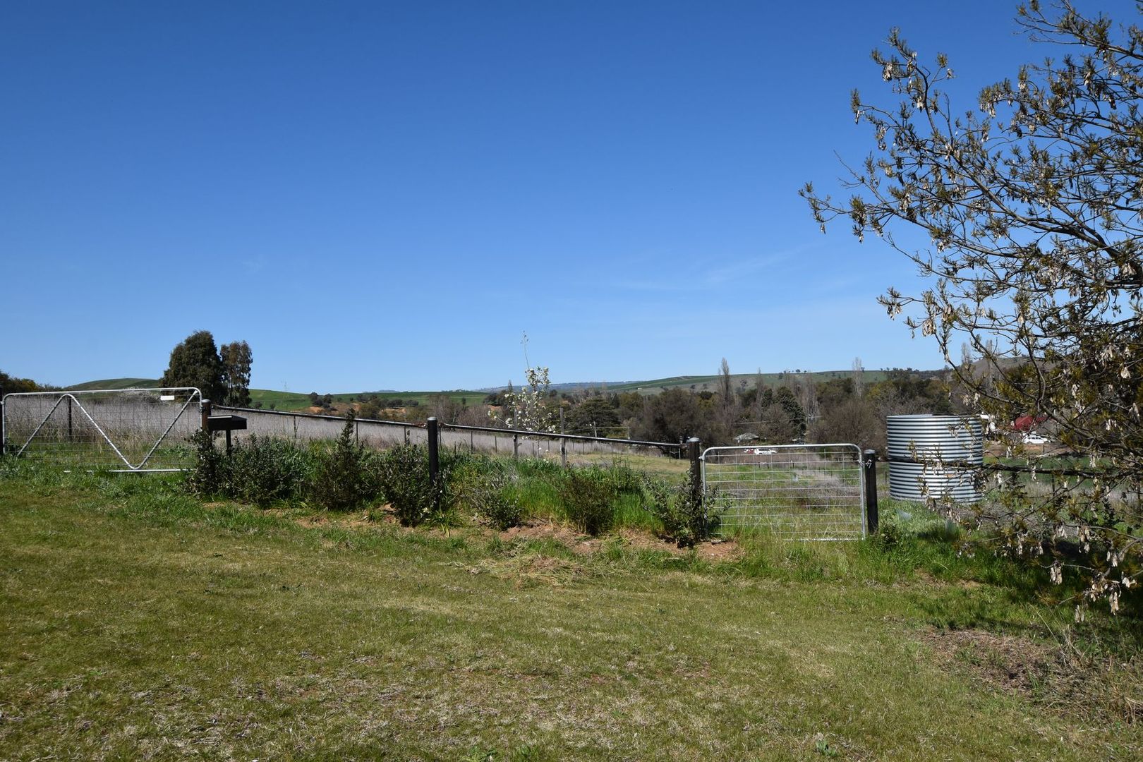 14 Stapylton Street, Jugiong NSW 2726, Image 2