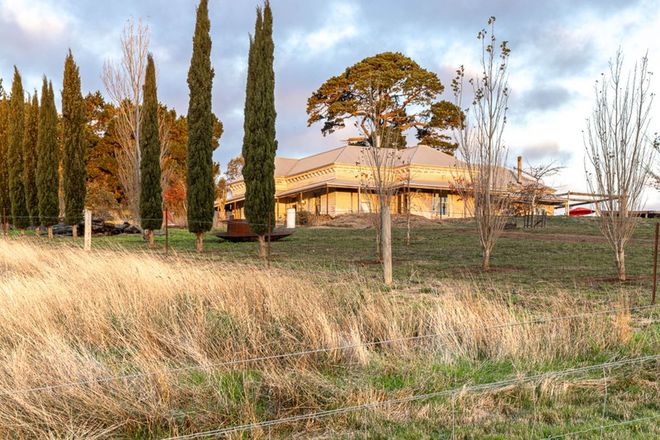 Picture of 54 Morton Street, LEARMONTH VIC 3352