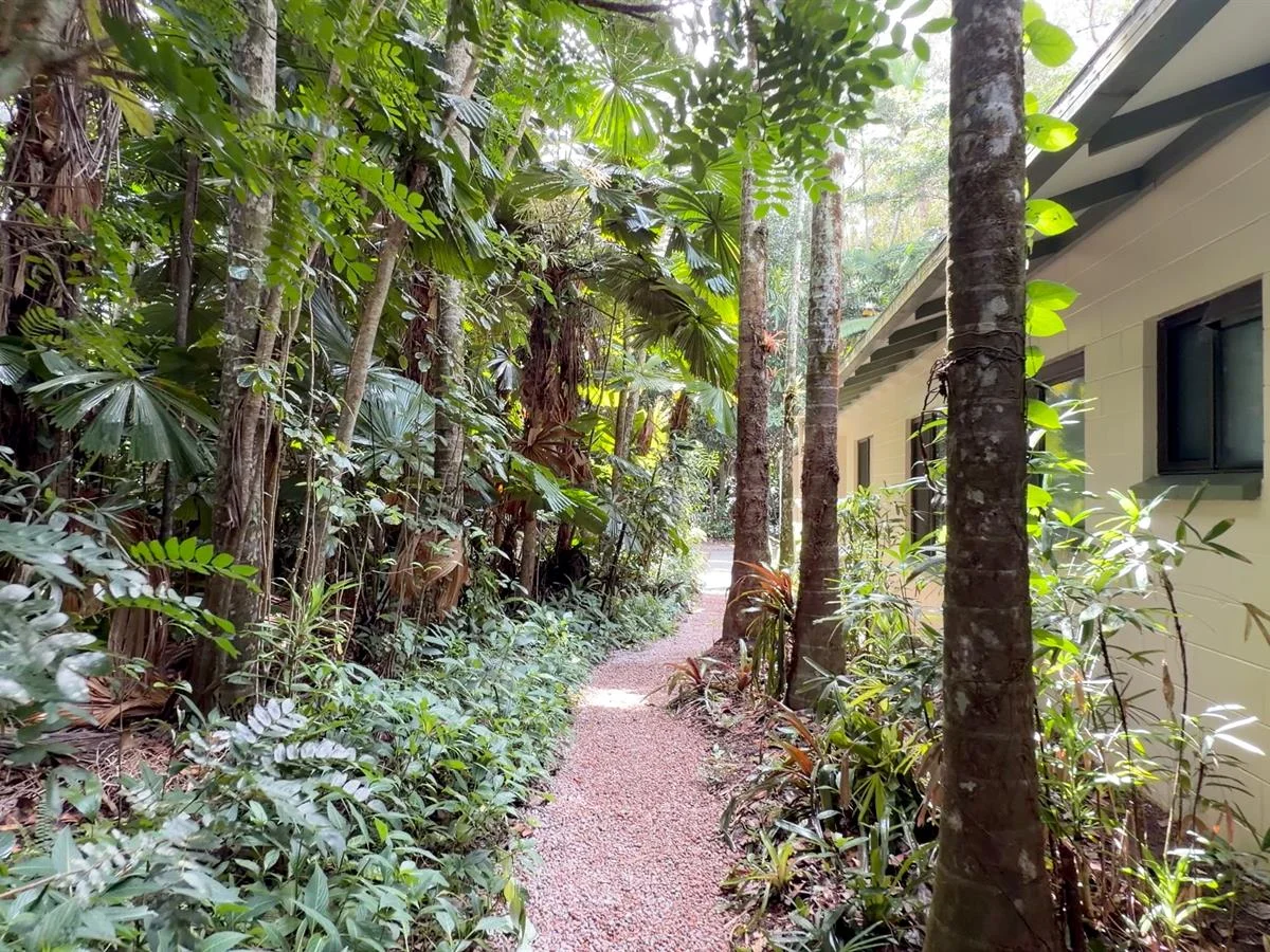 Additional image 10 of 3 Kurrajong Close, Wongaling Beach QLD 4852