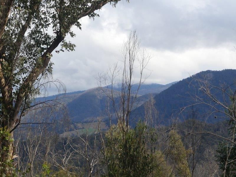 Lot 119 Orchard Lane, Rocky Hall NSW 2550, Image 0